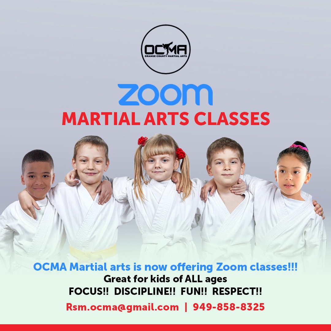 ZOOM Martial Arts Classes